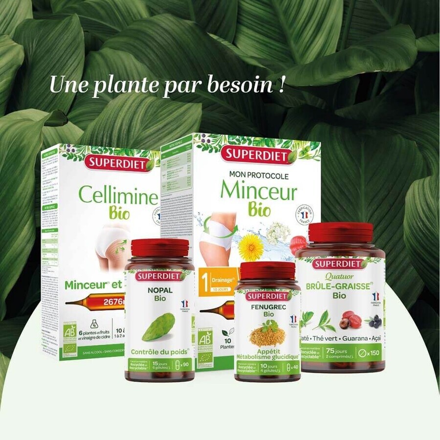 Superdiet Quatuor Brucia Grassi al guaranà 150 Compresse 150 Comprimes Superdiet Quatuor Brucia Grassi al guaranà 150 Compresse 150 Comprimes