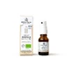 Ballot-Flurin Alcoholvrije Biologische Propolis Blanc Spray 15ml