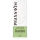 Pranarôm Essential Oils Maritime Pine Oleoresin Bio 10ml
