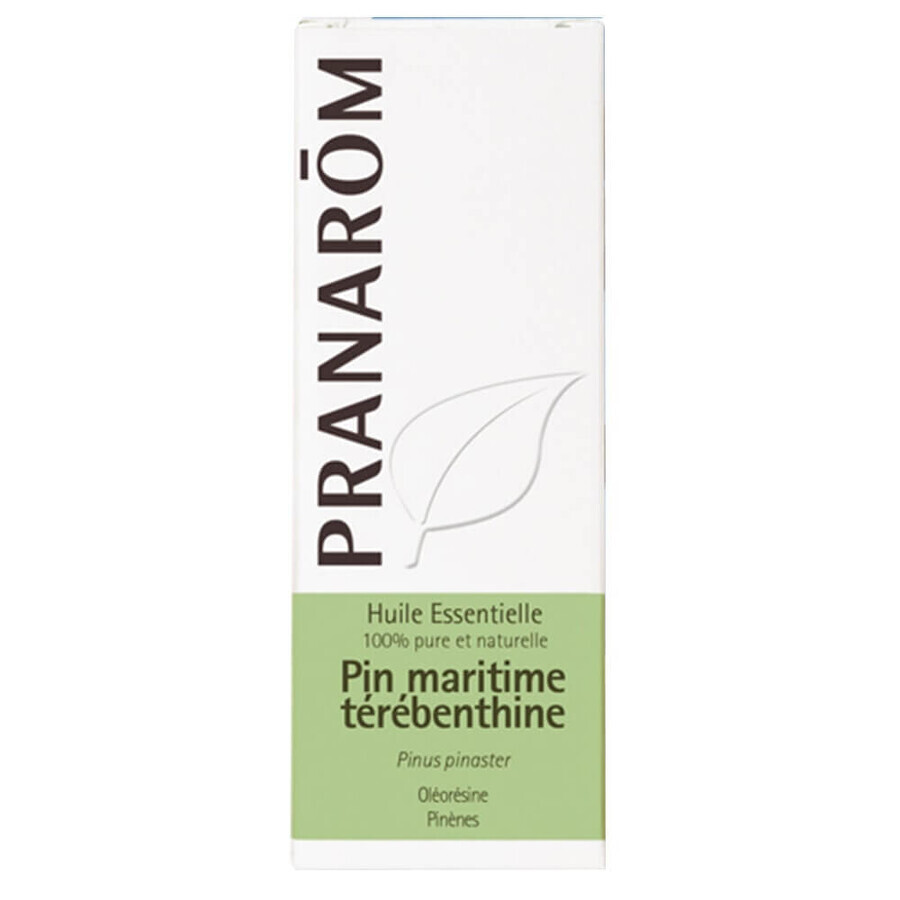 Buy Pranarôm Essential Oils Maritime Pine Oleoresin Bio 10ml Pranarôm Essential Oils Maritime Pine Oleoresin Bio 10ml
