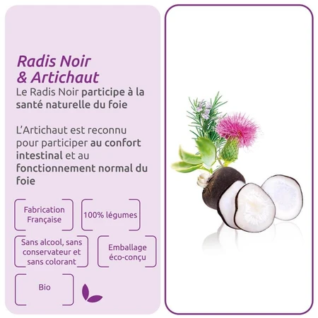 Herbesan Radis Noir Et Artichaut Bio Verdauung 20 Ampullen