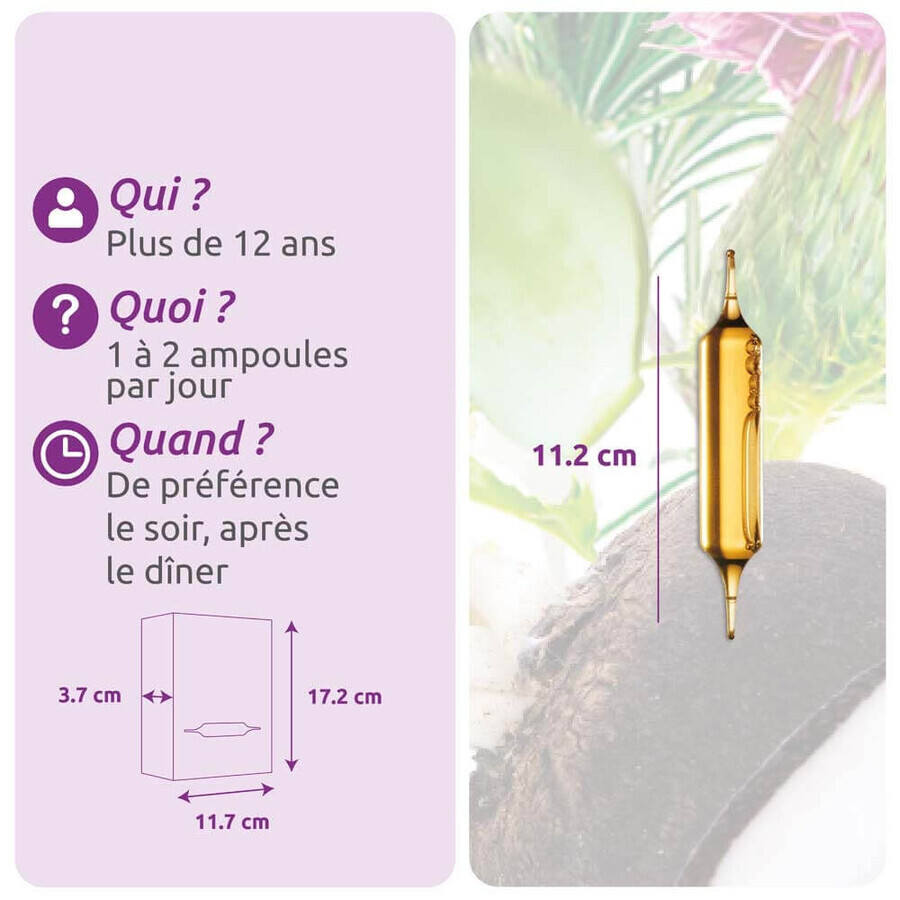 Herbesan Radis Noir Et Artichaut Bio Digestion 20 fiole Herbesan Radis Noir Et Artichaut Bio Digestion 20 fiole