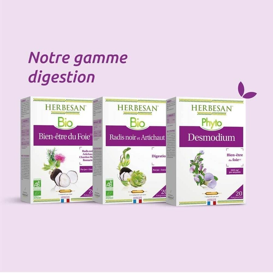 Herbesan Radis Noir Et Artichaut Bio Digestion 20 fiole Herbesan Radis Noir Et Artichaut Bio Digestion 20 fiole
