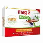 Mag 2 Phyto Energie Tonic für Nervosität und Müdigkeit 30 Ampullen