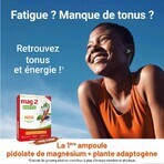 Mag 2 Phyto Energie Tonic für Nervosität und Müdigkeit 30 Ampullen