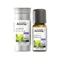 Le Comptoir Aroma Bio Officinal Lavendel ätherisches Öl 10ml