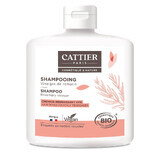 Cattier Shampoo Aceto di Rosmarino Bio per Capelli Grassi 250ml