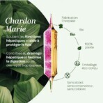Superdiet Cardo Mariano Digestione Organica 20 Fiale Protection Du Foie 20 Ampoules