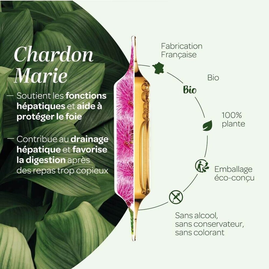 Superdiet Cardo Mariano Digestione Organica 20 Fiale Protection Du Foie 20 Ampoules