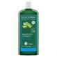 Logona Champú Hidratante Bio Aloe Vera 250ml