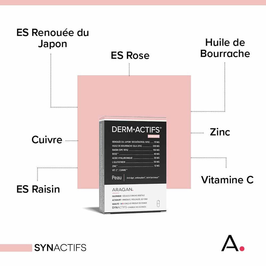 Aragan Synactifs DermActifs Piel 30 cápsulas