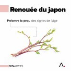 Aragan Synactifs DermActifs Piel 30 cápsulas Aragan Synactifs DermActifs Piel 30 cápsulas