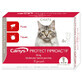 Canys Protect Fiproactif 50 mg spot-on solution for Cats 4x0.50ml
