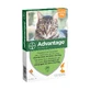 Advantage 40 Spot-on Solution voor katten en konijnen tot 4 kg 4 kg