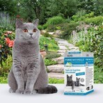Vetoform Gatto Epurazione in formato famiglia Gattino 50 compresse
