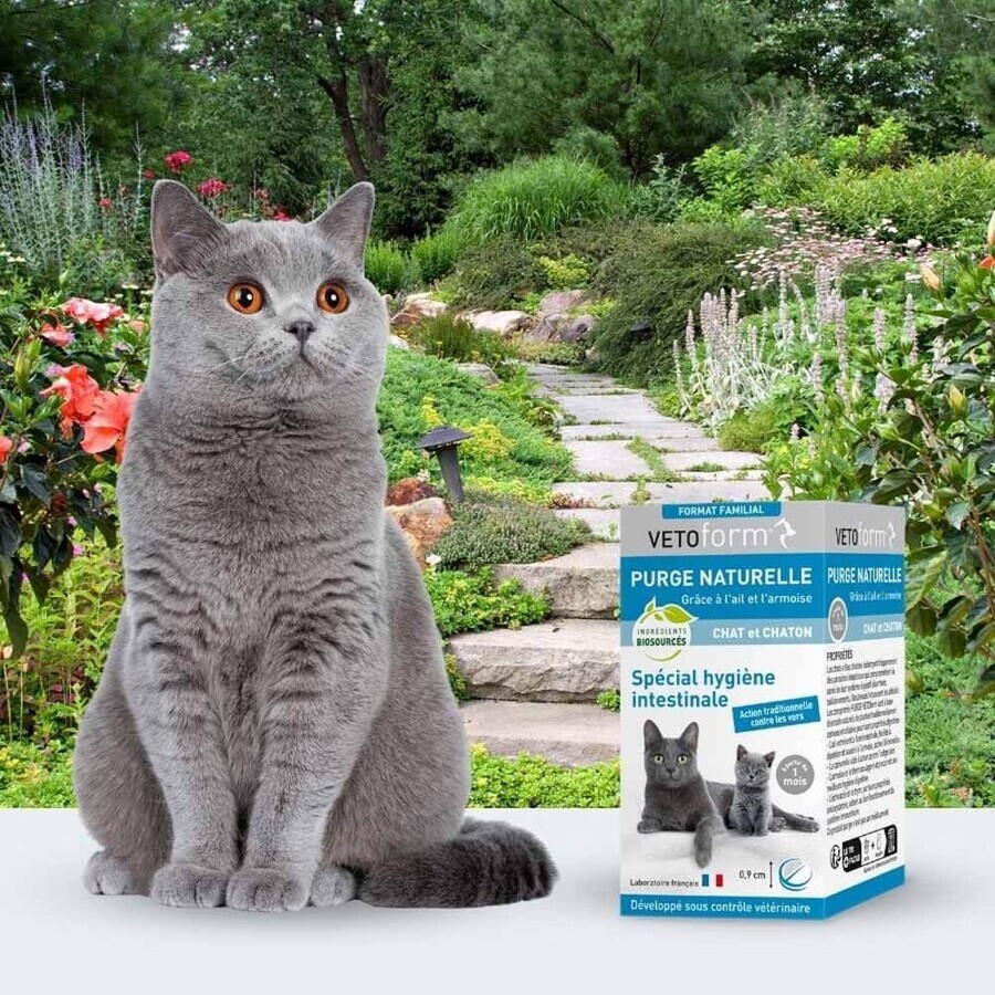 Vetoform Gatto Epurazione in formato famiglia Gattino 50 compresse
