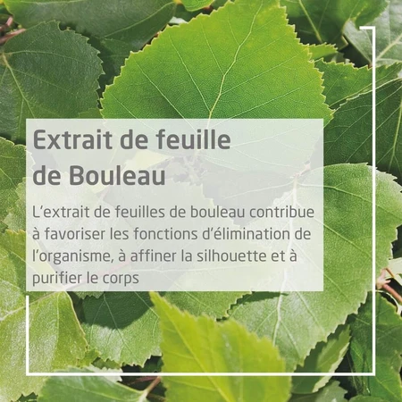 Weleda Bouleau Pear-scrub Creme De Douche Gommante 150ml
