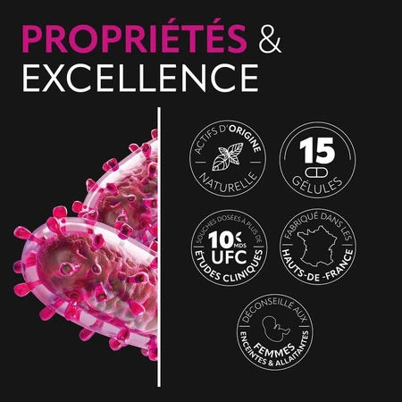 Herbesan Probiotiques Intestinal Flore 15 Gélules