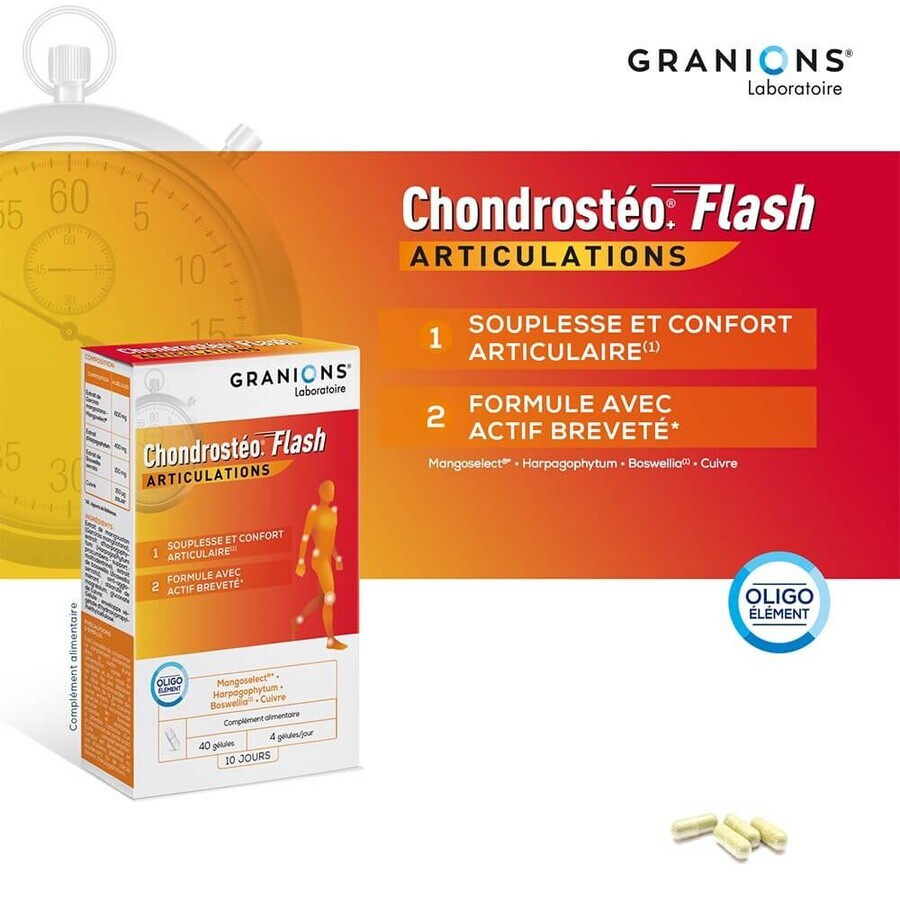 Granions 40 Kapseln Chondrosteo Flash