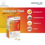 Granions 40 Kapseln Chondrosteo Flash