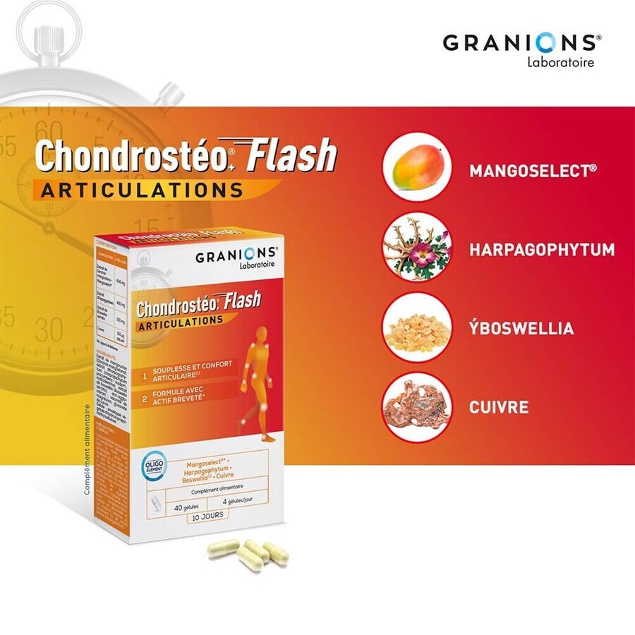 Granions 40 Kapseln Chondrosteo Flash