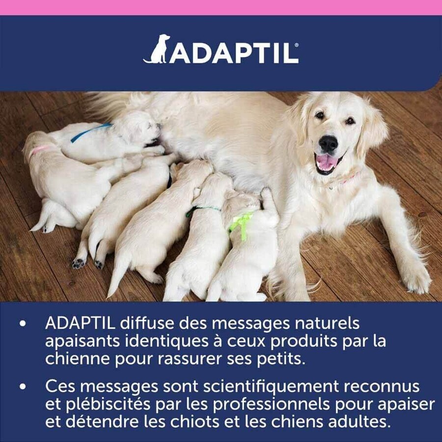 Ceva Adaptil Collare antistress per Cuccioli