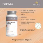 Biocyte Health 5 Ginseng Forte 40 Gelule Biocyte Health 5 Ginseng Forte 40 Gelule