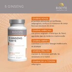 Biocyte Health 5 Ginseng Forte 40 Gelule Biocyte Health 5 Ginseng Forte 40 Gelule
