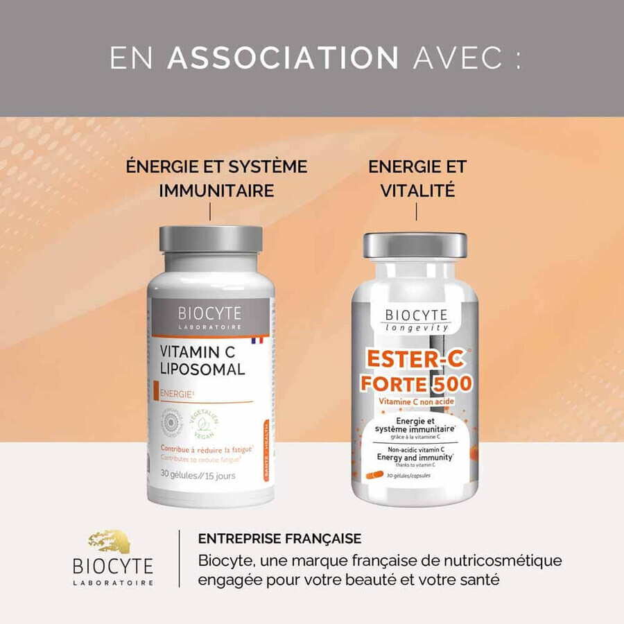 Biocyte Health 5 Ginseng Forte 40 Gelule