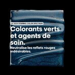 L'Oréal Professionnel Vitamino Color Spectrum Shampoo neutralizing red highlights for brown hair 300 ml