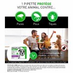 Frontline Combo Spot-on Chien L de 20-40kg 6 Pipettes de 4,02ml Frontline Combo Spot-on Chien L de 20-40kg 6 Pipettes de 4,02ml