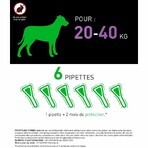 Frontline Combo Spot-on Chien L de 20-40kg 6 Pipettes de 4,02ml Frontline Combo Spot-on Chien L de 20-40kg 6 Pipettes de 4,02ml