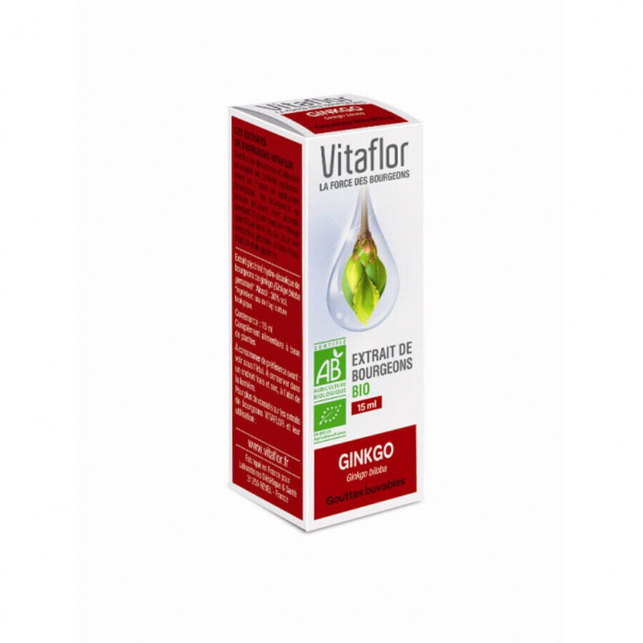 Acquista Vitaflor Vitaflor Extrait De Bourgeon De Gingko Bio 15ml Vitaflor Vitaflor Extrait De Bourgeon De Gingko Bio 15ml