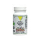 Vit&#39;All+ Amla organic 300 mg standardized extract 60 capsules
