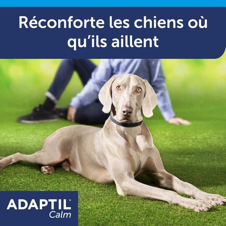 Ceva Adaptil Stressabbau-Halsband für große und mittelgroße Hunde M/L