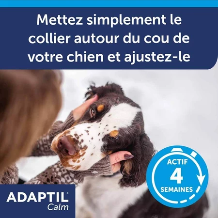 Ceva Adaptil Stressabbau-Halsband für große und mittelgroße Hunde M/L