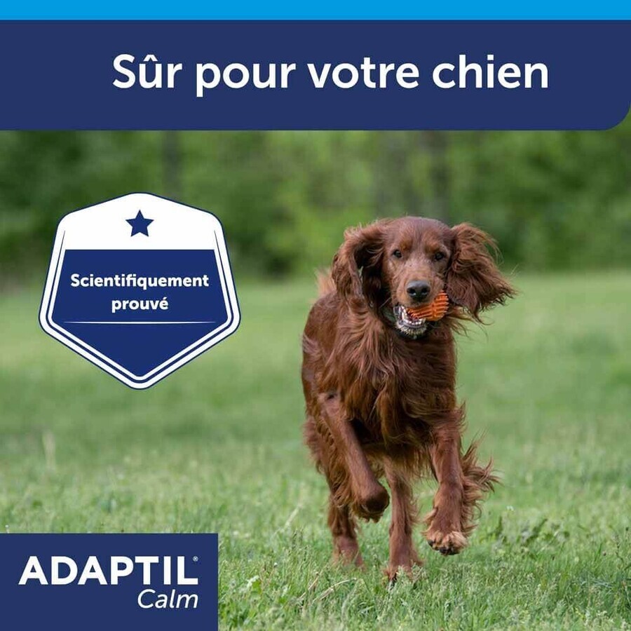 Ceva Adaptil Anti-Stress Collar for Large and Medium Size Dog M/L