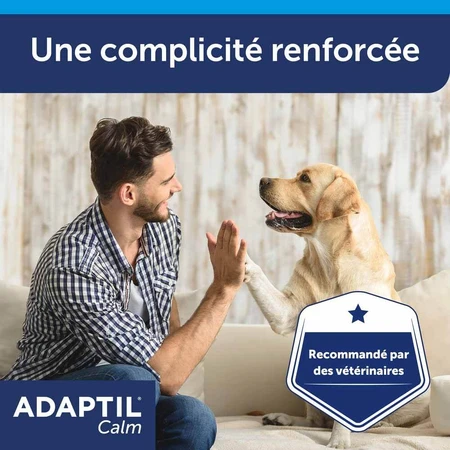 Ceva Adaptil Stressabbau-Halsband für große und mittelgroße Hunde M/L
