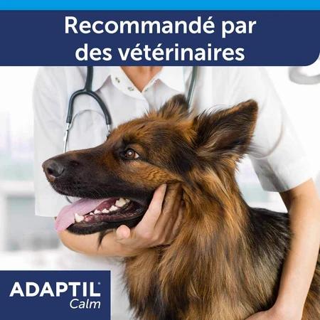 Ceva Adaptil Stressabbau-Halsband für große und mittelgroße Hunde M/L