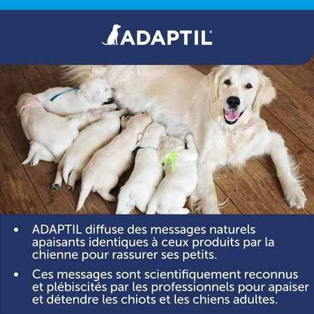 Ceva Adaptil Stressabbau-Halsband für große und mittelgroße Hunde M/L