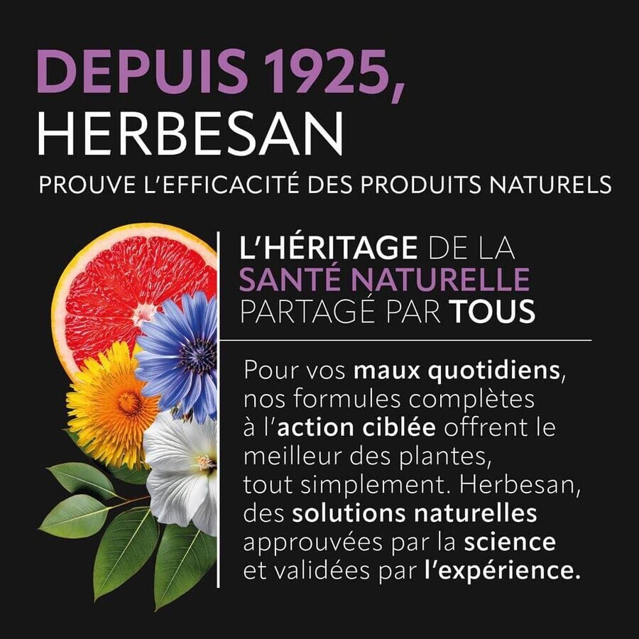 Herbesan Vision Santé Des Yeux 60 Comprimés