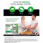 Frontline Combo Spot-on pentru pisici și dihori 3 pipete de 0,5 ml Frontline Combo Spot-on pentru pisici și dihori 3 pipete de 0,5 ml