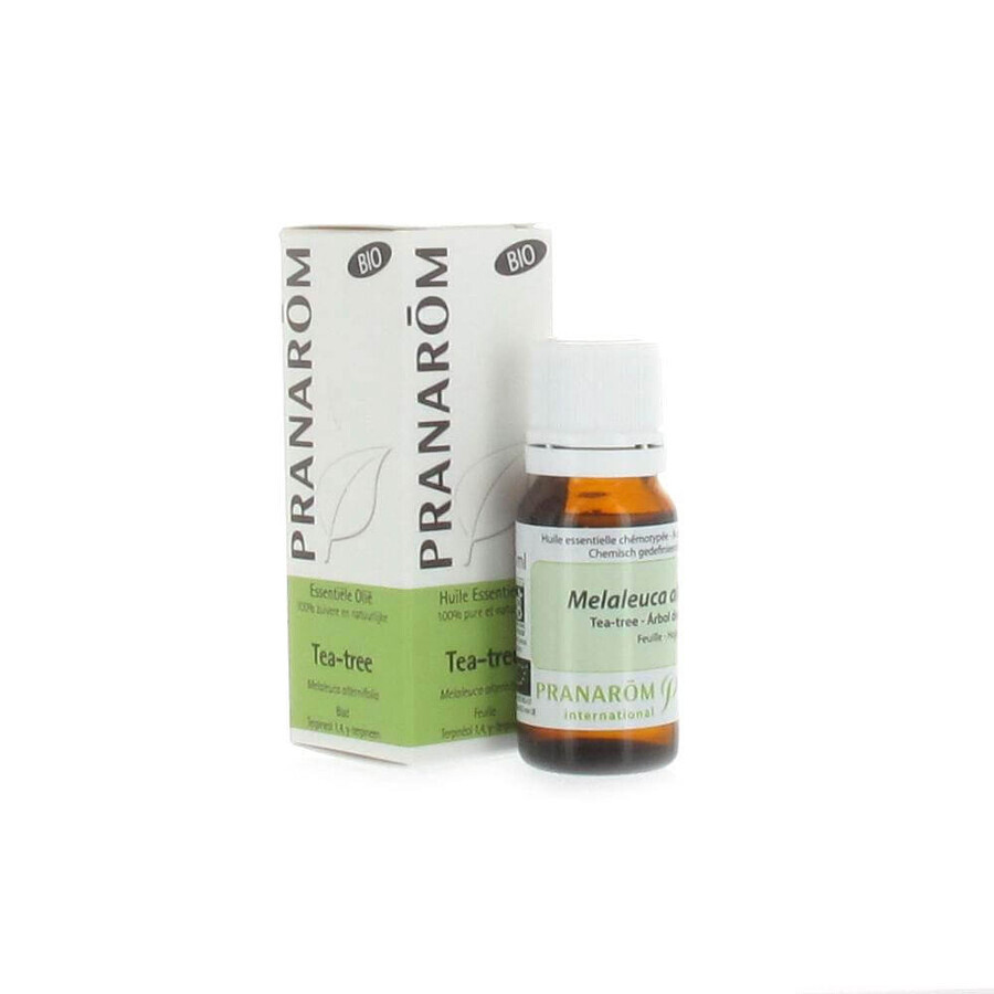 Winkel op Pranarôm etherische olie Tea Tree Bio 10ml Pranarôm etherische olie Tea Tree Bio 10ml
