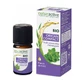 Naturactive Huile Essentielle Bio Origan Compact 5 ml