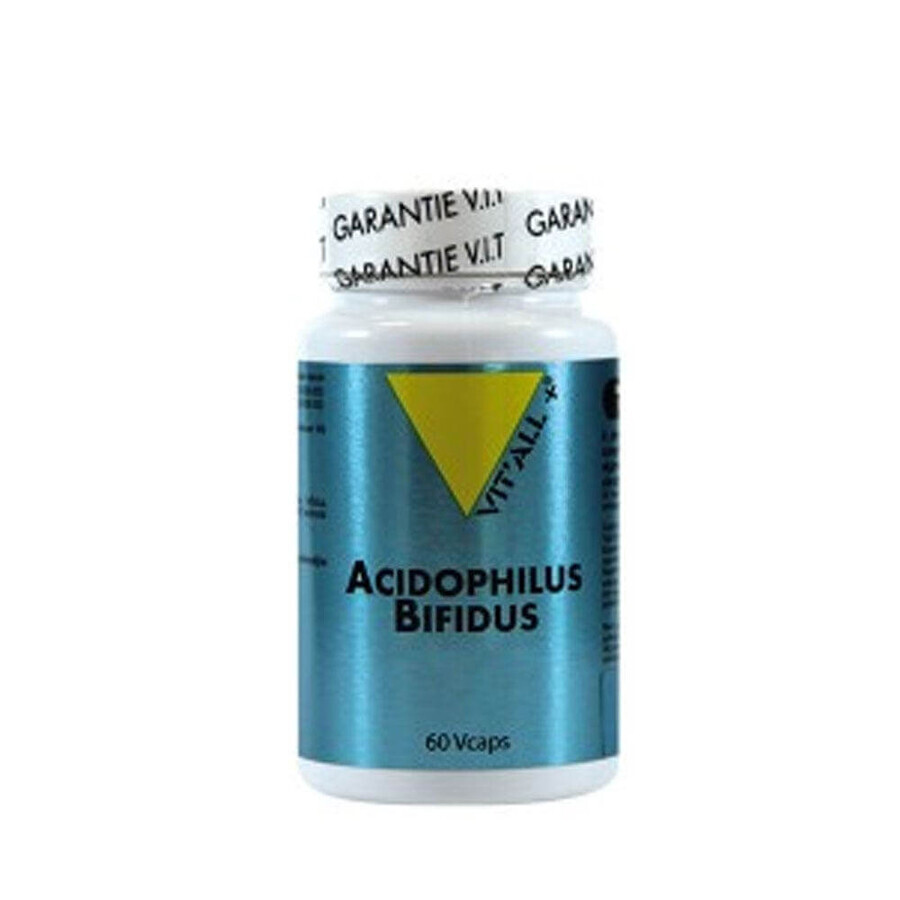 Vit'All+ Acidophilus Bifidus 60 Capsules 60 Gélules