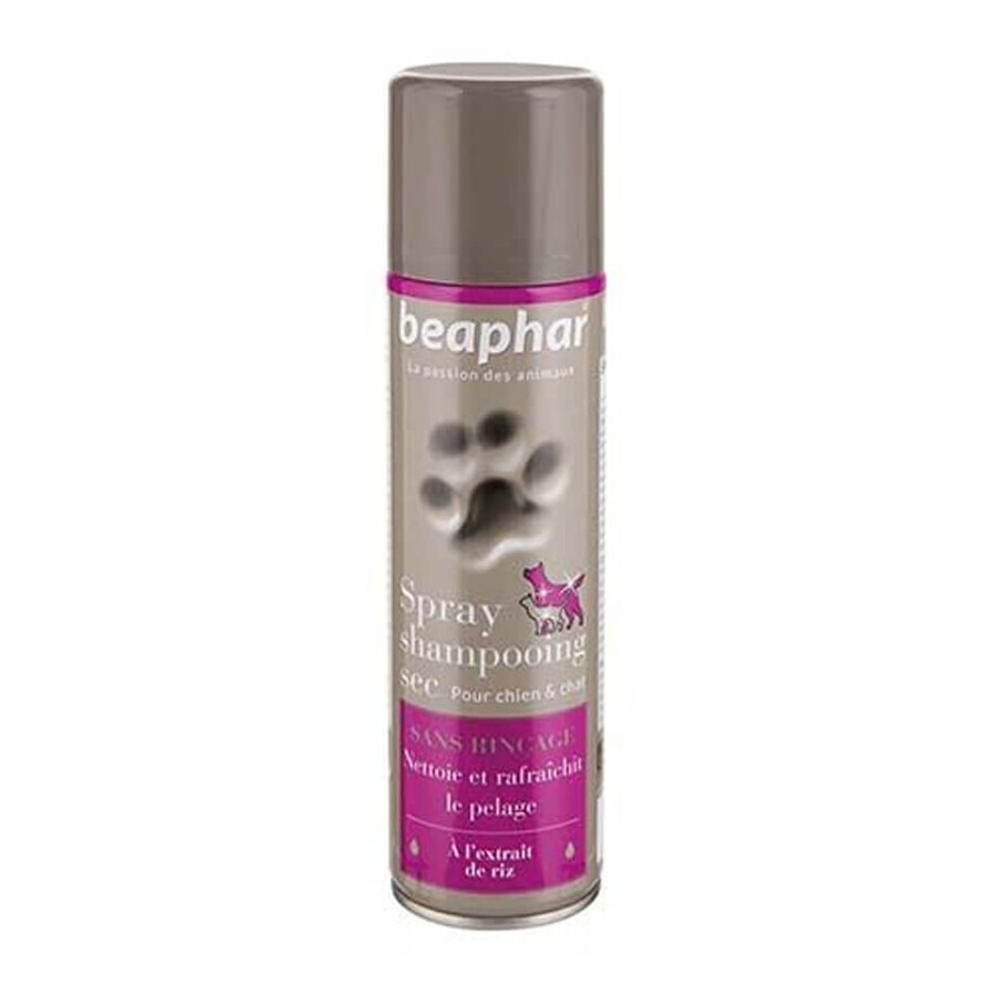Beaphar No-Rinse Spray Trockenshampoo für Hunde und Katzen 250ml