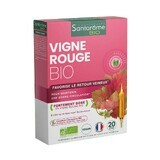 Santarome Vigne Rouge Fördert den venösen Rückfluss Bio 20 10ml Ampullen