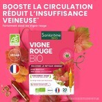 Santarome Vigne Rouge Bevordert de veneuze terugkeer Bio 20 ampullen van 10 ml