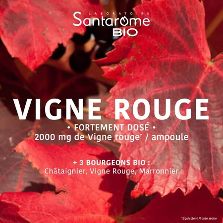 Santarome Vigne Rouge Favorece el retorno venoso Bio 20 10ml ampollas