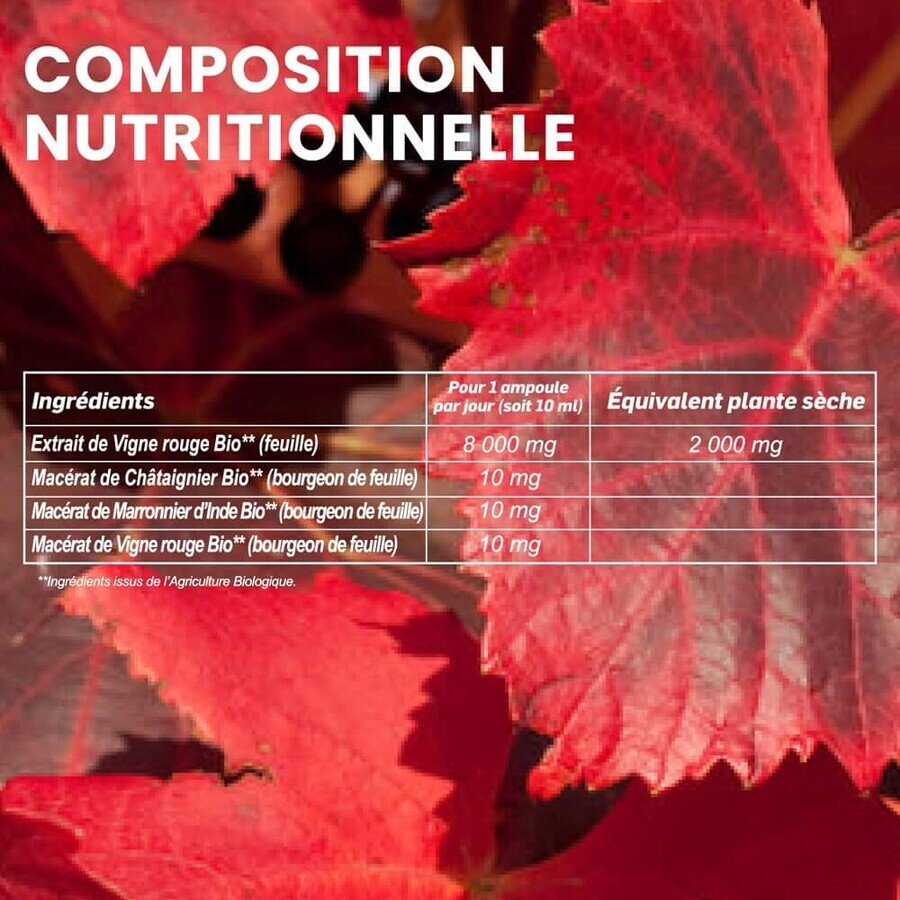 Santarome Vigne Rouge Bevordert de veneuze terugkeer Bio 20 ampullen van 10 ml